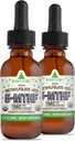 RawGuru 甲基folate 1mg + 维生素B12 - 有机 Vegan 甲基化 B12 配有 Trace Minerals - Nano-Processed & 增强液态 - 300 series of Vegan drops 每30 ml, pack of 2