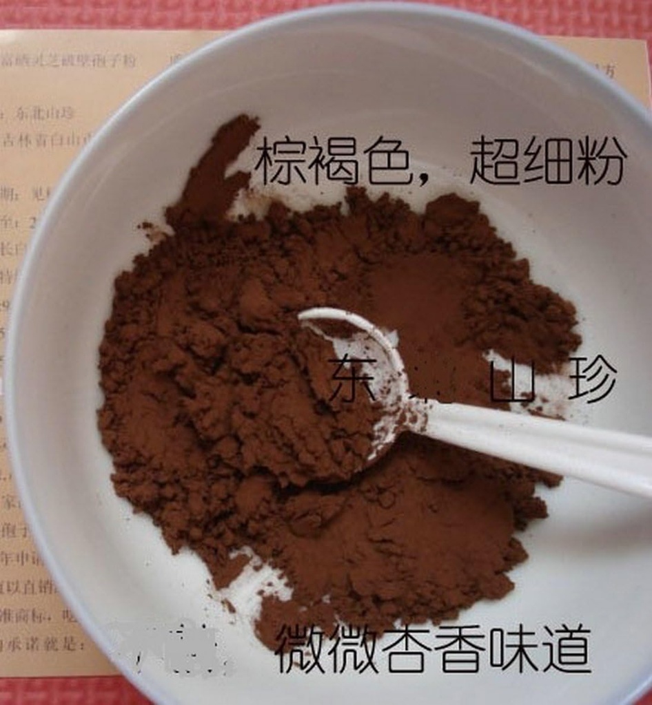 Duan-Wood 98% Shell-Broken LingZHI Ganoderma Reishi Spore Power 100 Grams (3.5 oz. ) (英语). 真空软件包