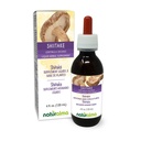 Naturalma Shiitake (Lentinula edodes) 芬古斯或蘑菇无酒精丁香 4 fl oz 液体提取在滴液中 |草药补充 | Vegan | 意大利产品