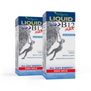 Wellgenix B12 Max Liquid - 维生素B6,B12 & Folate-High Absolute - 心血管健康,精神清晰,能量靴和体重损失 - 1.75oz,2 Pack