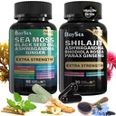 宝海. Shilajit和Sea Moss Bundle- 90 Counter - Sea Moss, 黑种子石油, Ashwagandha, Ginger & Shilajit, Rhodiola Rosea, All in 1 补编(1 Pc)