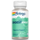 SOLARAY 超级文摘消化酶 - Pancreatin, Papain, Ginger, Pepsin, Betaine HCl, Aloe Vera, 以及 More - 文摘和营养吸收支持 - Lab 验证 - 90 Veg Caps