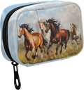 Fustylead Horse Growping on the Grassland Oil painting Pill Organizer Case 配有Zipper 2 Times A Day for Vitamin and Supplement, 7 Day 旅行组织者药物案例