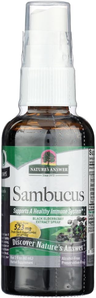 自然回答 Sambucus 喷泉
