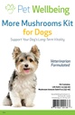 Petwelling More Mushrooms Kit for Dogs - 免疫系统支持和抗氧化剂保护 - 与土耳其Tail, Reishi, Maitake, Astragalus 配音