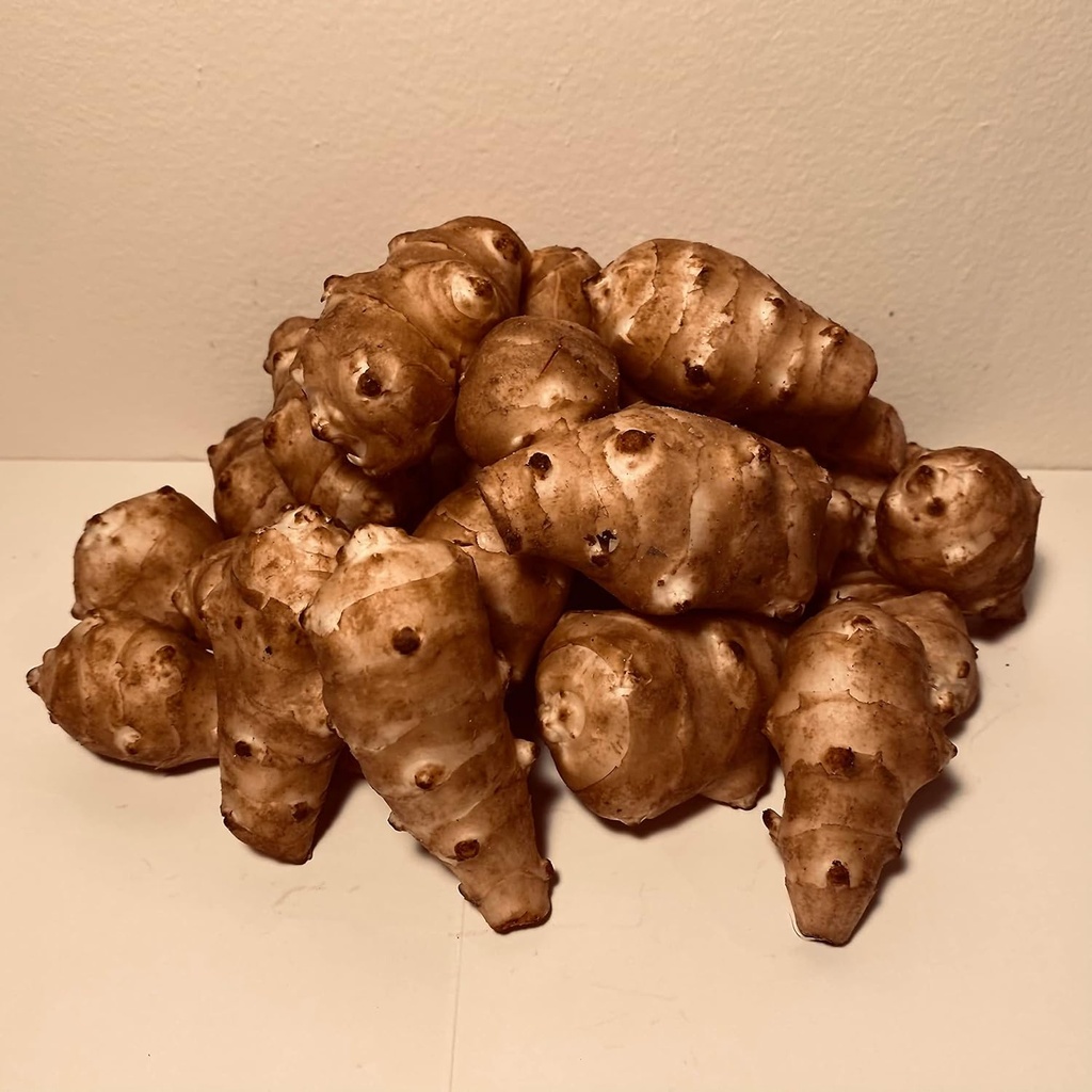 Sunchokes - 5磅(5磅)用于种植或食用FEDEX 2天