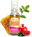 黄蜂生命 Propolis Throat Spray — Soothing Honey, Mint & Pomegrant — 天然免疫支持 & Sore Throat Relief — 抗氧化剂,富含Flavonoids & Artepillin C, 无糖,无糖,1-Pack, 30ml