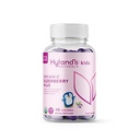 Hyland's Kids Organization Elderberry Plus Gummys,有机黑老莓配ZINC和维生素C,儿童免疫支助,48 Vegan Gummys
