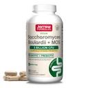 Jarrow Formules Saccharomyces Boulardii + MOS 消化卫生和肠道切除支持的亲生药物 -- -- 5亿 CMU Per 服务 -- -- 90 延迟释放盖 -- -- Probiotic + 预生 -- -- 90 服务