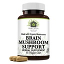 脑蘑菇支持 – 非GMO & Kosher认证补编,配有增强精神清晰度、能量、焦点、记忆功能和认知健康的能力蘑菇混合剂
