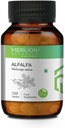 Sheltr Alfalfa 牌匾、Mediago Sativa、所有天然、纯草药500毫克x120块牌匾