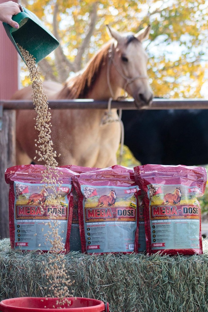 Mega Dose 40 lb, Equine Vitamin Mineral and a full service of horse Guard Supplement & Hoof Guard 配有全功值的马卫和胡夫卫