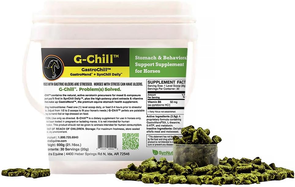 G-Chill全自然对马的消化健康支持 - 30个服务 - 促进胃和Hindgut健康,胃溃疡救治中的艾滋病,增强Collagen和Fibronectin生产用于组织修理