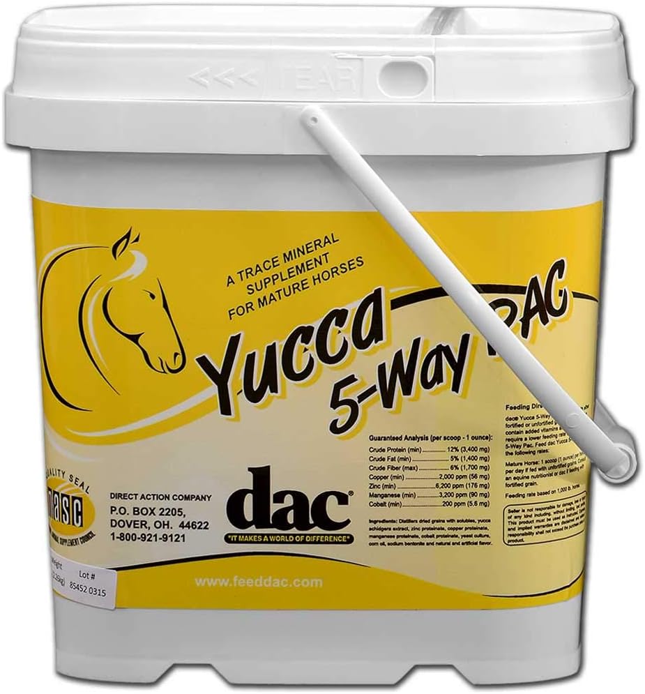 DAC Yucca 5 径赛马 - 5磅