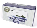 [标本类型] 100% 天然棕海藻提取法 USFDA通过(ID代码2030-950)(50g(20sachets))