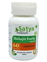 常规 O r g a i c Shilajit 胶囊 60 每瓶500mg ayurvedic 中不包括人工成分(单包)