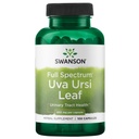 Swanson Full-Spectrum Uva Ursi Leaf - 草药补充剂支持肾脏和尿道切除术健康 - 可能支持心血管系统功能和Bladder健康 - (100 Capsules,每部450mg)