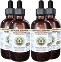 Cordyceps 无酒精液体提取, Cordyceps (Cordyceps Sinensis) 蘑菇 Glycerite Hawaii Pharm 天然草药补充4x4 oz