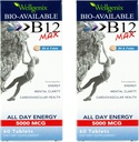 Wellgenix Bio-Available 亚语言 B12 Max - 为高吸收量制定 - 营养多维特敏 B12, B6, Folate - 快速溶解(60Ct) 2 Pack