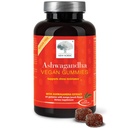 新NODIC Ashwagandha Gummys, 300 mg Ashwagandha 根提取,无糖,男女适配物,美味芒果桃,60 Gummys