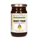 Banyan Botanics Shakti Prana – 超级食品健康与Ayurvedic Herbs的融合 – 生命和幸福的自然能源补充* – 7.9 oz – Gluten Free,非GMO,可持续来源