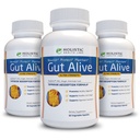 Gut Alive - All Natural Support for Fight IBS, Heartburn, Acid Indeption, Acid Reflux, Bloating & Gas. Unique Production (60 Counts (Pack of 3)) 互联网档案馆的存檔,存档日期2011-03-02., p.