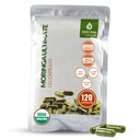 莫林加 90 Vegan Capsules 认证有机物 纯莫林加叶粉