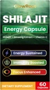 Shilajit Capsules,喜马拉雅高年级Shilajit,富含富尔维奇酸和85+痕量矿物,无胶质,男女无糖 Shilajit Capsules