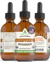 RawGuru Cordyceps 蘑菇补充剂 - Vegan Cordyceps 含有 Trace Minerals的提取剂 - Nano-Processed 豁免促进剂和识别剂补充剂 - 每60毫升60枚Vegan滴水,包装1
