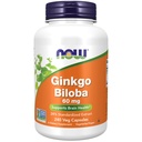 Now 食品补充品,Ginkgo Biloba 60毫克,24% 标准化提取,非GMO项目验证,240 Veg Capsules