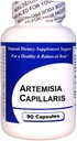 Artemisia Capillaris (90 Capsules) - 集中的草药提取法 - 饮食补充