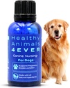 HA4E -- -- 警犬怀孕和护理支助 -- -- 促进哺乳和帮助预防怀孕和护理问题 -- -- 安全、快速行动、自然护理办法 -- -- 300 平板电脑