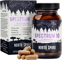 北Spore Organization 'Spectrum 10' 蘑菇提取 Capsules QQ 认知补充 狮子的玛内,查加,科迪塞普斯,雷希,土耳其的泰尔 10 美食蘑菇 能源,焦点,明亮 - 120 cm