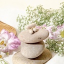 TRU 补充 " 妇女保健补充 " 、 " 每日荷尔蒙支助 " 、 " Gut & Skin Health " 、 " 生育率和混合促进器 " 、 " PMS " 和 " 消化支助 " 、 " 自然妇女方案 " -- -- 30种服务