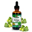 自然解答无酒精 Ginkgo Leaf 2000mg 2oz 解析 QQ刺激记忆,Mood & Content QQ Gluten - Free, Kosher 认证和无防腐剂 QQ 单数