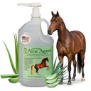 Hoag 的 Aloe Vera+ Agave Premium 马匹补充品 — 在美国制造 — 原版 Udder Balm — 对马匹和大动物的天然胃支持 — 压力救济和Ulcer Care,128 Fl Oz.