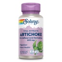 SOLARAY Artichoke 叶片摘录 600mg 保障的概率 健康活人, Gall Bladder 和消化功能支持 QQ Lab 验证 QQ 60 Veg Caps