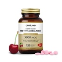 甲基B-12 5000mcg 与福拉提-维生素B12 甲基Cobalamin亚语片 - 支持能量和脑功能 - Vegan 补充 - Cherry Flavor - 120