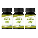 Amla 120平板 - USDA有机印度鹅莓 - 富含维生素C和支持免疫健康* - 包3
