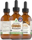 RawGuru Chaga蘑菇补充剂 - Vegan Chaga蘑菇提取剂与 Trace Minerals - Nano-Processed University Boost & Concepture - 60 services of Vegan Drops每60毫升,包装为1