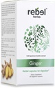 叛逆草药 姜汁 Capsules 威力双萃取法,非GMO, Gluten Free, Ginger Root (Rhizome) 提取法