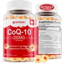 2 Pack-无糖CoQ10 填充胶体250MG,Coenzyme Q10 w/Magnesium Glycnate,Niacin No-Flush Vitamin B3,E & Folic酸,高吸收性CQ10 用于耳特,细胞能和抗氧化剂