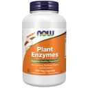 Now 食品补充品,植物酶与乳酶,蛋白质,帕宾和布罗梅兰,240 Veg Capsules