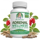 Ashwagandha & More -- -- 组织意识,丹妮尔博士的身体支持,120个卡普尔