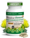 免疫支持、含有维生素C的能源促进剂、D3和锌补充剂、Rhodiola Rosea、Reishi蘑菇提取剂、Astragalus、整体健康与每日脂肪 -- -- 60卡普尔