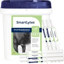 SmartEquine SmartLytes 马电解质补充剂 & SmartLytes 粘贴马电解质 Paste 6 Tubes Bundle, 鼓励水分, 补充电解质, 无添加糖