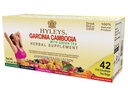HYLEYS 茶 Garcinia Cambogia 绿茶与各种火焰 - 42个茶袋