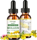 Mullein Drops for Lungs, Lung Detox & Cleanse for Smoker,有机Mullein Leaf提取剂 for Lungs w. Elderberry, Ginger, Mullein Tincture 免酒精用于呼吸性肺部健康 2 FL/OZ