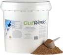 马科技 GutWerks (10磅).