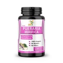 从泰国进口的纯纯纯纯草药(Pure Pueraria Mirifica) 补充500mg 根提取剂 -- -- 促进妇女的健康,有机天然草药,60种蔬菜